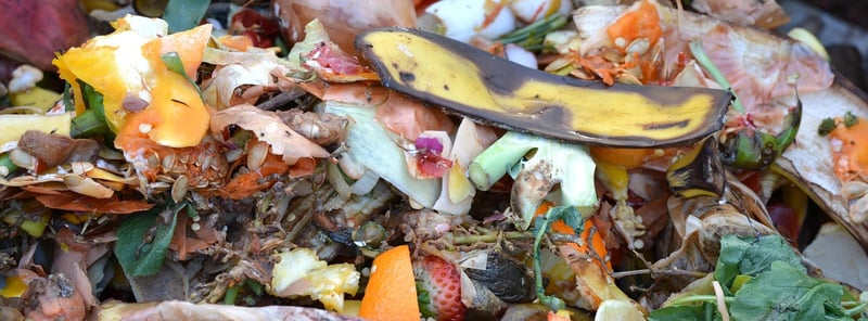 Composting bin for reducing food waste