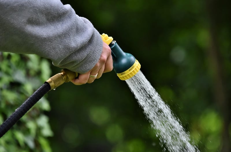 Upcycled Watering Can